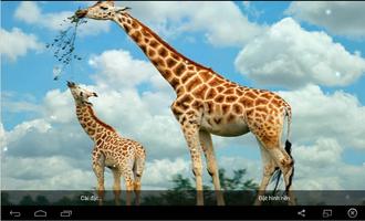 Cute Giraffe Wallpaper screenshot 1