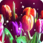 glitter flower live wallpaper 圖標