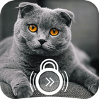 The British Shorthair Kawaii Kitten Lock Screen icône