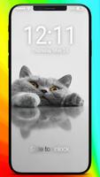 The British Shorthair Kawaii Kitten Lock Screen পোস্টার