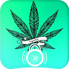 Cannabis Leaf Weed Marihuana Home Locker アイコン