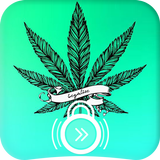 Cannabis Leaf Weed Marihuana Home Locker icône