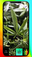 Cannabis Leaf Weed Marihuana Home Locker syot layar 2