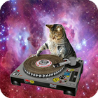 Cat Space Live Wallpaper icono