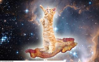 برنامه‌نما Cat Space Live Wallpaper عکس از صفحه
