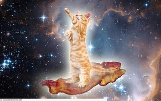 Cat Space Live Wallpaper captura de pantalla 3