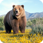 Bear Live Wallpaper icon