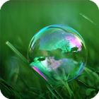 Bubble Live Wallpaper আইকন