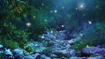 Fireflies Live Wallpaper скриншот 3