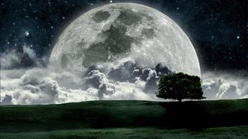 Moon Live Wallpaper Cartaz