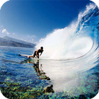 Surfing Live Wallpaper icône