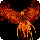 Phoenix Live Wallpaper أيقونة