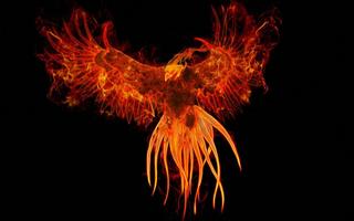 Phoenix Live Wallpaper captura de pantalla 2