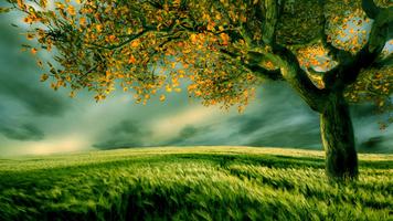 Tree Live Wallpaper اسکرین شاٹ 1