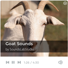 Icona Goat Sounds