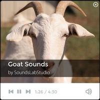 Goat Sounds ポスター