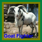 Goat  Fighter wallpaper Hd أيقونة