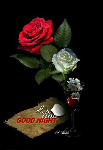 Good Night Images 2020 Apk 3 7 Download For Android Download