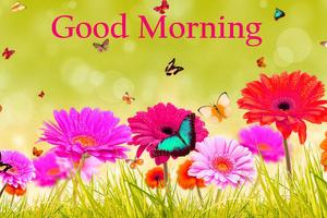 Good Morning Images Plakat