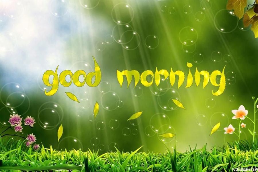 Good morning