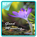 Good Morning Images APK