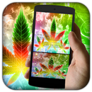 Weed Rasta Smok Keyboard APK