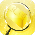 Gold metal Detector