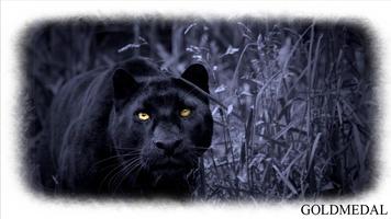 Black Panther Wallpaper capture d'écran 1