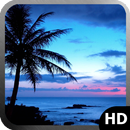 Hawaii Wallpaper APK