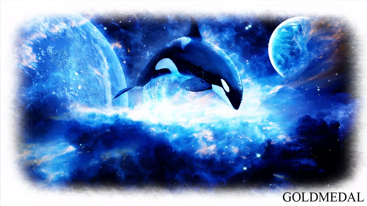 Tải xuống APK Orca Wallpaper cho Android Tải xuống APK Orca Wallpaper cho Android