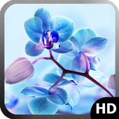Orchid Live Wallpaper icono