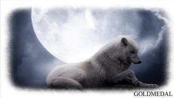 White Wolf Wallpaper capture d'écran 3