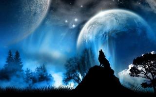 Wolf Moon Wallpaper capture d'écran 2