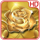 Gold Rose Wallpaper APK