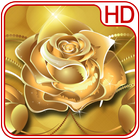 Gold Rose Wallpaper icon