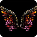 Angel Wings Wallpaper