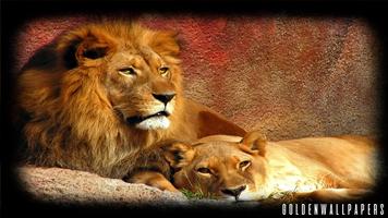 Big Cats Wallpaper اسکرین شاٹ 3