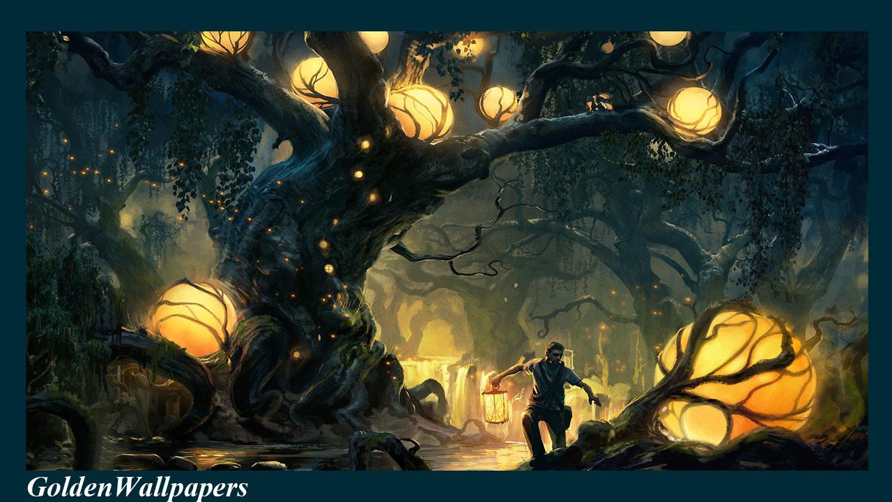 Enchanted Forest Wallpaper For Android Apk Download
