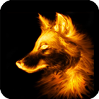 Fire Wolf Wallpaper icône