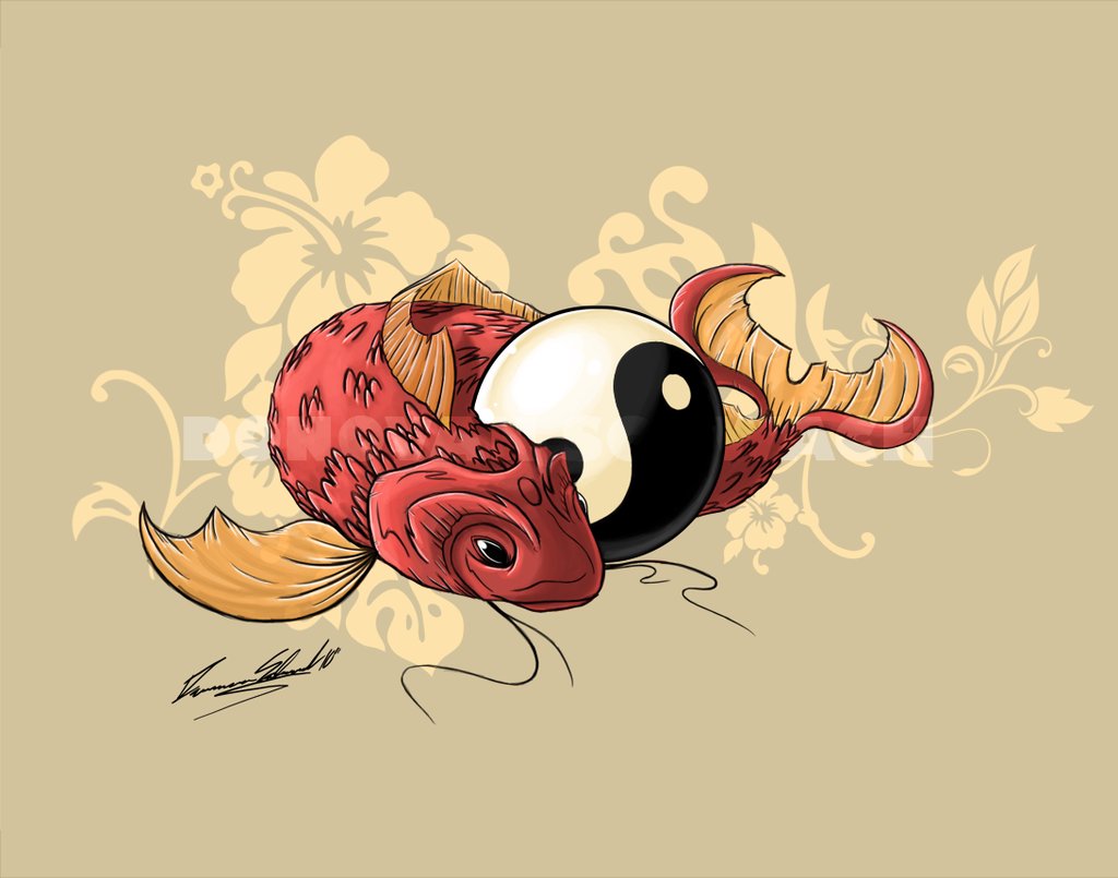 Koi Fish Live Wallpaper APK for Android Download