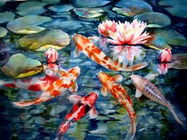 Koi Fish Live Wallpaper captura de pantalla 3