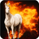 Horse Fire Live Wallpaper APK