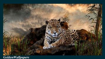 Jaguar Wallpaper الملصق