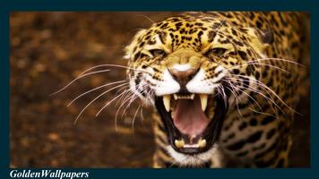 Jaguar Wallpaper تصوير الشاشة 2