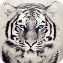 White Tiger Live Wallpaper APK