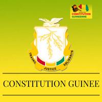 Constitution Guinée poster