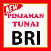 Pinjaman Tunai - BRI Kredit Terbaru