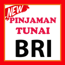 APK Pinjaman Tunai - BRI Kredit Terbaru