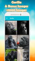 Gorilla Wallpaper screenshot 1