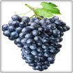 Grapes Fruit Onet Connect Game